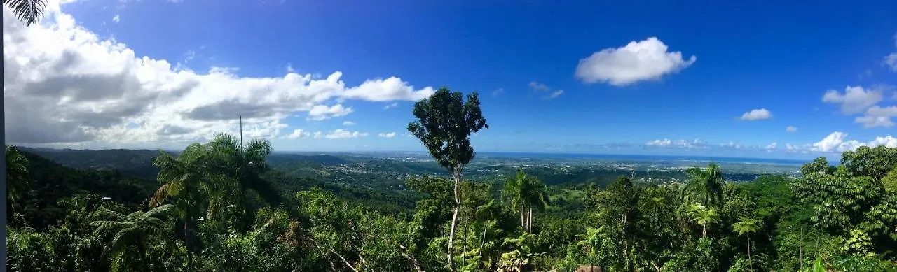 *** Guest house El Escondido Studios And Gardens Canovanas Puerto Rico