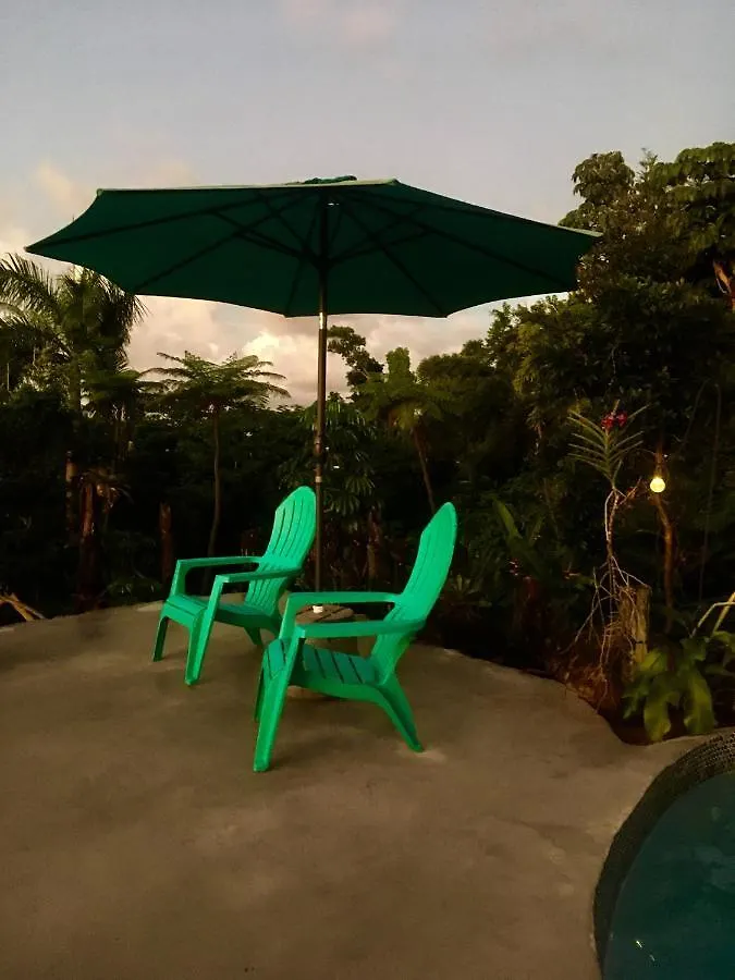 Guest house El Escondido Studios And Gardens Canovanas