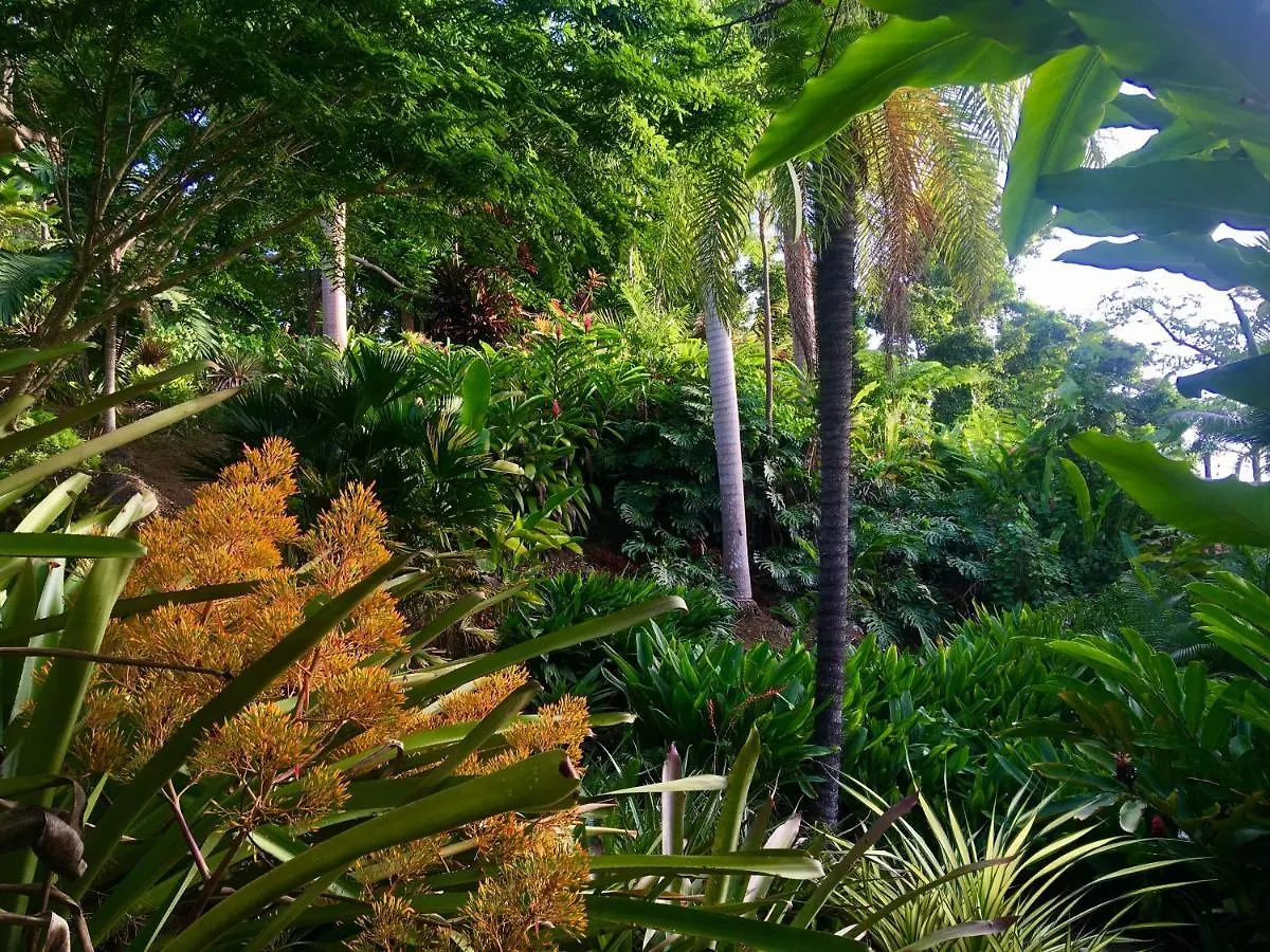 El Escondido Studios And Gardens Canovanas Guest house