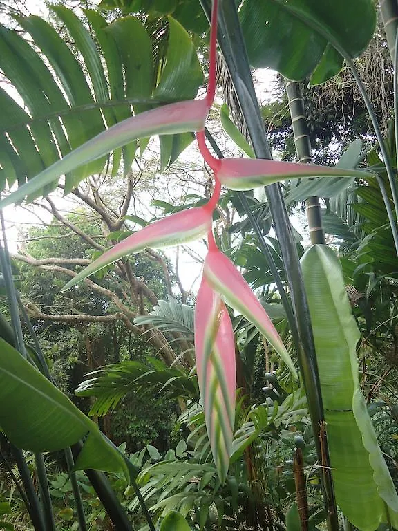 El Escondido Studios And Gardens Canovanas 3*,  Portoriko
