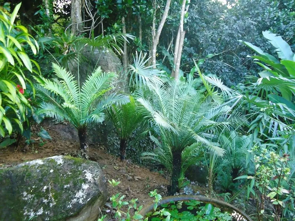 El Escondido Studios And Gardens Canovanas 3*,  Portoriko