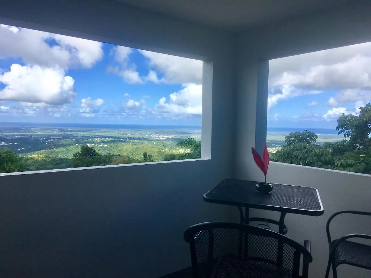 El Escondido Studios And Gardens Canovanas Guest house