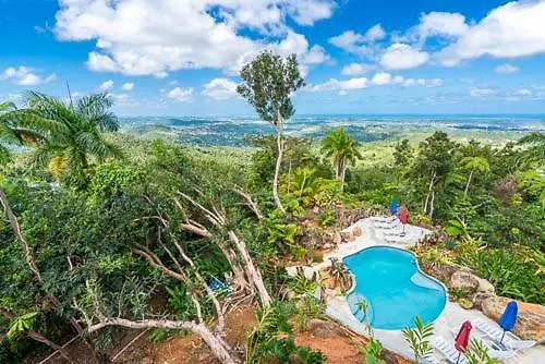 El Escondido Studios And Gardens Canovanas Guest house