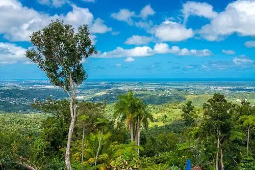 El Escondido Studios And Gardens Canovanas Puerto Rico