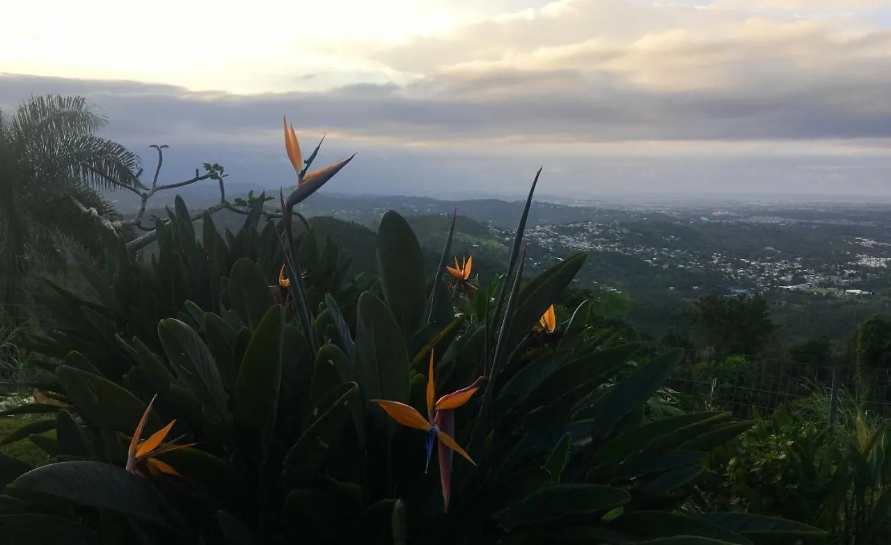 *** Guest house El Escondido Studios And Gardens Canovanas Puerto Rico
