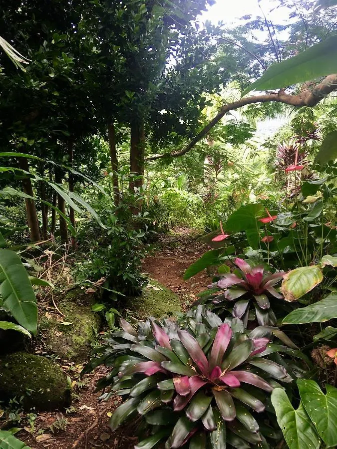 El Escondido Studios And Gardens Canovanas Guest house