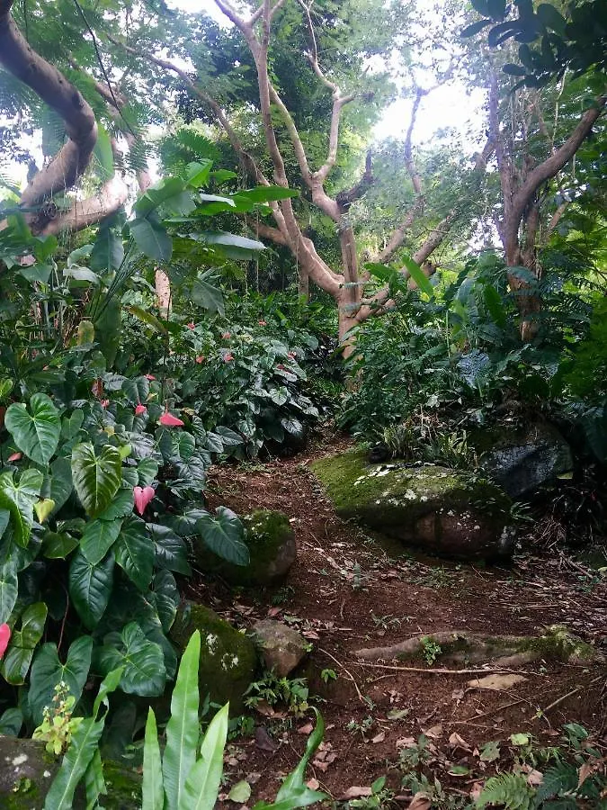 Guest house El Escondido Studios And Gardens Canovanas